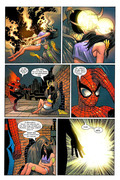 Amazing Spider-Man #504: 1